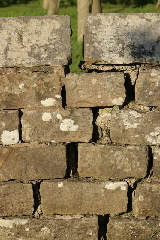 Stone Wall Repair in Boulder Creek, CA